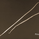 Illustration for article titled How to Kill a Parasitic Worm Living Inside of You